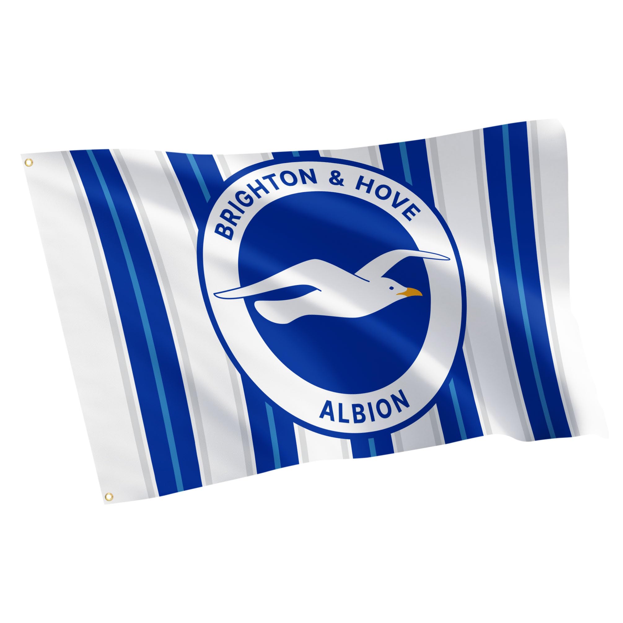 Amazon.com : Desert Cactus Brighton & Hove Albion Flag BHAFC